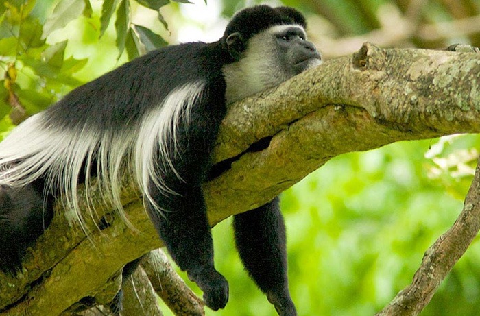 ARUSHA NATIONAL PARK